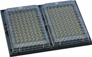 plate holder for Xact microarrayer
